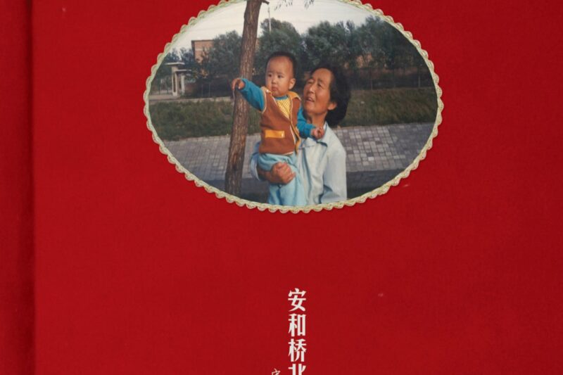 宋东野 – 安和桥北
