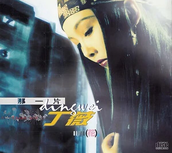 丁薇 – 那一片花