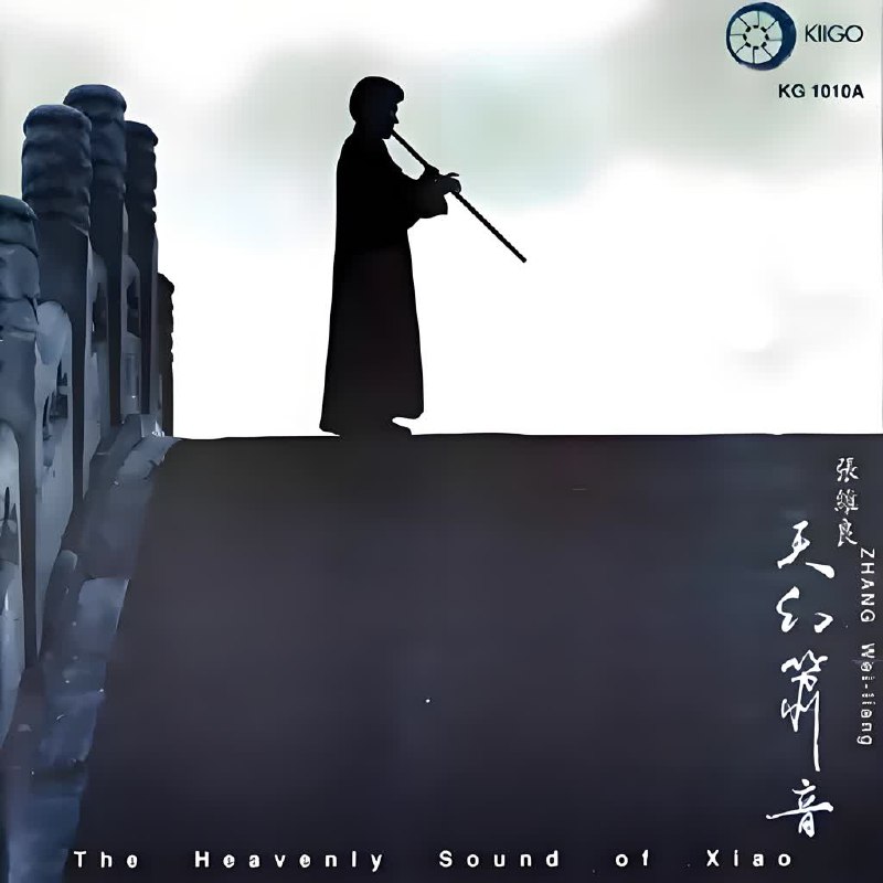 张维良 - 天幻萧音
