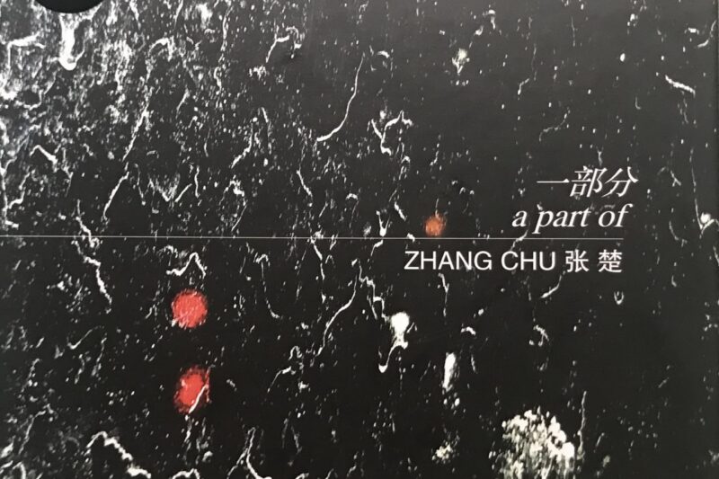 张楚 – 一部分