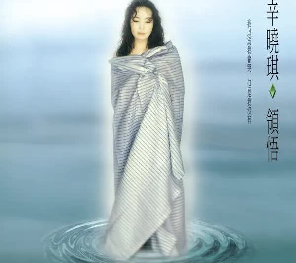 辛晓琪 – 领悟