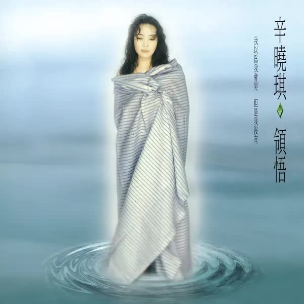 辛晓琪 - 领悟